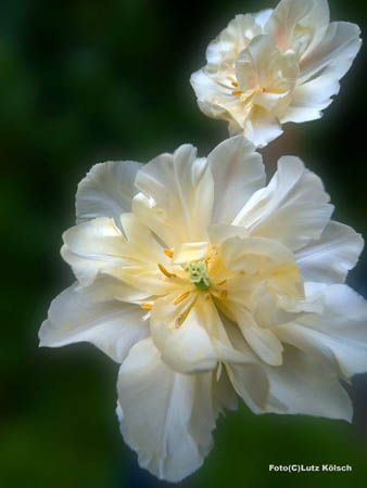 P5010041
