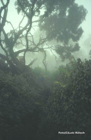 069-10