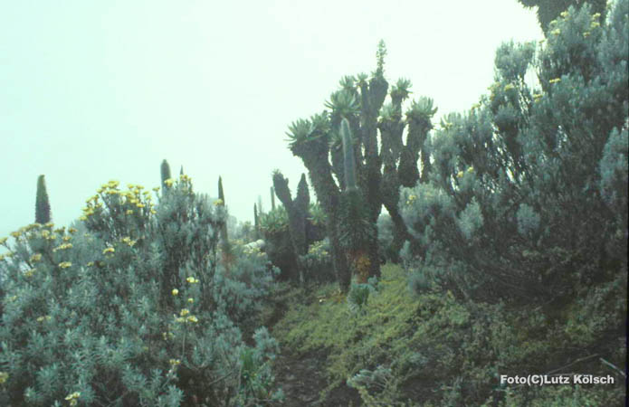 071-12